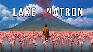 I never expected this to exist in Africa  Lake Natron Tanzania [upl. by Yzzik925]