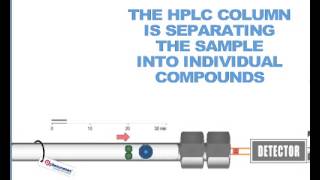 How HPLC Columns Work [upl. by Aicillyhp652]