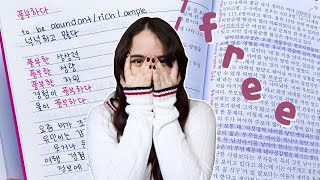 🇰🇷 learn korean for free BEGINNERS  classes textbooks amp apps [upl. by Mazonson]