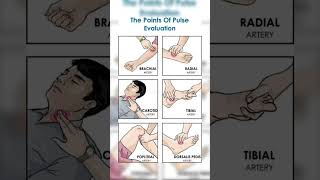 Sits of pulse palpate hospital medicalviralvideo ytshorts trending youtubeshorts youtube [upl. by Folger893]