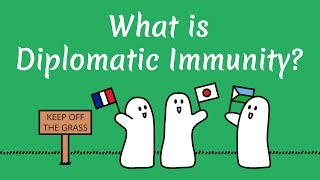 What is Diplomatic Immunity [upl. by Tillie]