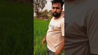 AGRI BOOSTER PLUS का जबरदस्त रिजल्ट देखिये खुद ही किसानों की जुबानी 5 [upl. by Warden]