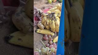 Fruit tahirapakistani bestvlogging dailyroutine pakistan tahirapakistani sitarayaseen vlog [upl. by Hescock208]