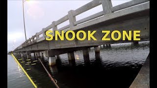 How To Catch Snook Around Bridges Where and When to Fish [upl. by Nahttam]