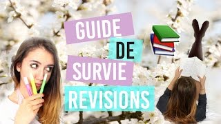 GUIDE DE SURVIE RÉVISIONS  Astuces life hacks motivation ☆ [upl. by Barbie]