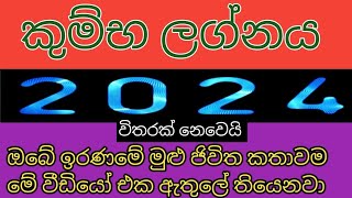 කුම්භ ලග්නය 2024  lagna palapala 2024 kumbha [upl. by Ferdinanda]