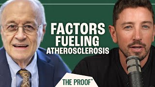 How Endothelial Dysfunction Causes Atherosclerosis  Dr Thomas Dayspring  The Proof Ep 251 [upl. by Aneba]