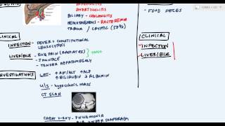 Hepatic Abscess or Liver Abscess Pyogenic Hydatid Amoebic abscess [upl. by Atinaujnas7]