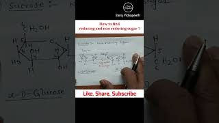 How to find Reducing and Non Reducing Sugar shorts chemistry chemistryclass12 [upl. by Ylrrad]