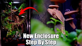 18x18x36quot Bioactive Setup  Crested Gecko Enclosure How To [upl. by Adnahcir]