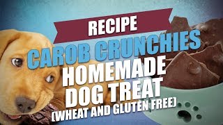 Carob Crunchies Homemade Dog Treat Recipe Wheat and Gluten Free [upl. by Bergmann]