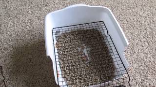 Rabbit litter boxCustommade DIY Scatterless with gridgrate under 5 [upl. by Tergram]