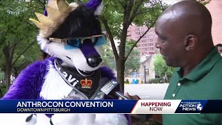 Anthrocon worlds largest furry gathering returns to Pittsburgh [upl. by Lach]