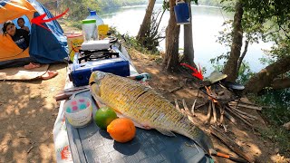 ACAMPAR PESCAR E PREPARAR PEIXE FRITO NA BEIRA DO RIO TUDO PODE MUDAR NO ACAMPAMENTO [upl. by Limber]