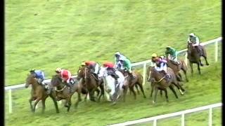 1989 Youngmans Long Walk Hurdle [upl. by Goodard82]