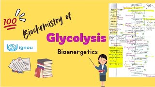 Glycolysis  Biochemistry  BSCG  BCHET  BZYCT  IGNOU ignouexams glycolysis biochemistry bsc [upl. by Akcimehs214]