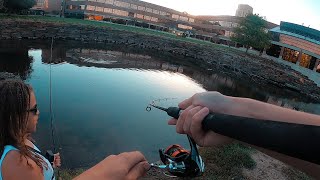 live bait fishing for river Smallies [upl. by Ennair]