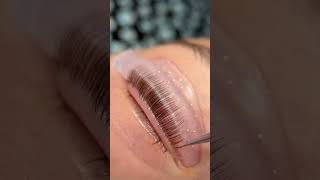 Get ready to flutter those fabulous lashes lashgoals lashliftandtint lashtransformation [upl. by Oinotnanauj]