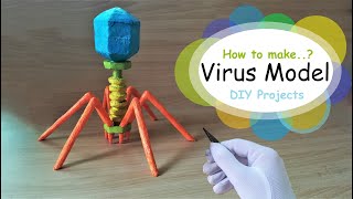 How to make Bacteriophage Virus 3d Model using Thermocol [upl. by Apur]