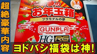 【2023年ガンプラ福袋開封】15万円のヨドバシカメラ製ガンプラ福袋の中身が総額〇〇万円でヤバすぎる！最新ガンプラとゴッドハンドのあのニッパーが！！ [upl. by Blaze]