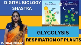 Glycolysis II Respiration II Std11Th amp 12Th II Biology II DrShalini Rao II Digital Biology Shastra [upl. by Aniled]