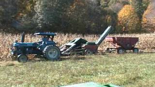 Picking corn in SW Pennsylvania [upl. by Minette]