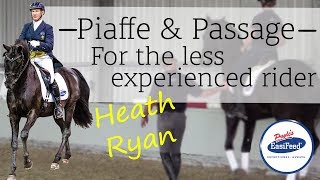 Piaffe and Passge for beginners  Dressage with Heath Ryan [upl. by Nrol507]