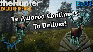 Fresh Start Ep3  theHunter Call of the Wild [upl. by Suertemed123]