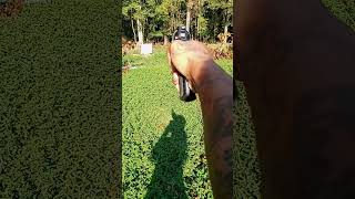 Target practice Shooting with a 357 Magnum revolver newshooter targetpractice magnum revolver357 [upl. by Olen]