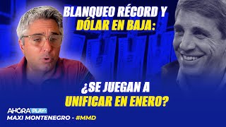 BLANQUEO RÉCORD Y DÓLAR ABAJO DE  1200 ¿UNIFICAN EN ENERO  Maxi Montenegro MaxiMediodía [upl. by Oirevlis426]