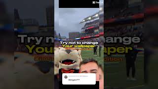 Try not change ur wallpaper bengals edition get300 nfl shorts trending [upl. by Ettennod]