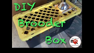 Brooder Box DIY  EASY AND CHEAP [upl. by Sima]