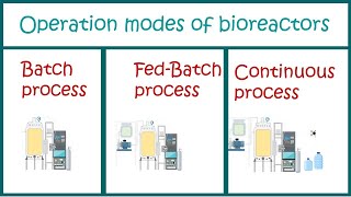 Types of Bioprocesses  Batch  Fed Batch and Continuous processes [upl. by Lydie96]