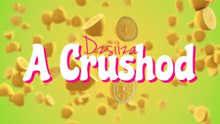 Dzsiiza  A crushod [upl. by Deryl]