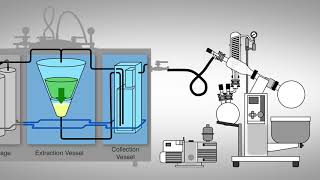 Ethanol Extraction Process  Capna Fabrication [upl. by Eimor]