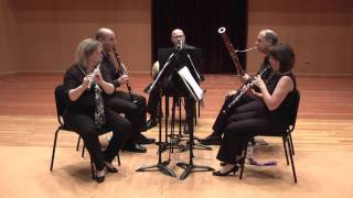 Quintet Opus 79 quotAndante graziosoquot  Klughardt [upl. by Ecnerat]