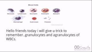 Trick to remember WBCs granulocytes and agranulocytes For neet [upl. by Innig976]