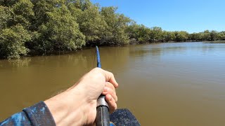 Fishing at Plantation creek NQ Sticko’s Fishing Adventures [upl. by Khoury]