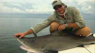 Bull Shark Fishing the Flats on Light Tackle in Homosassa Florida [upl. by Hildagarde]