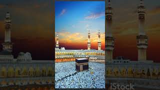 ya rabbe Mustafa tu mujhe Hajj pe bulaurdu beautiful love shortvideo [upl. by Sheline861]