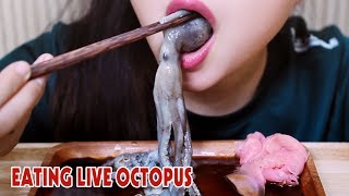 ASMR LIVE octopus challenge exotic food eating sound part 2LINHASMR [upl. by Lennor240]