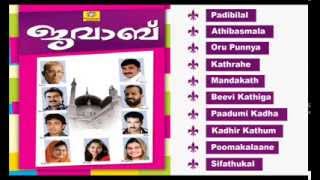 മദനപ്പൂവാടിയിൽ  Edappal bappu  Mappila song  Malayalam song [upl. by Ballman]