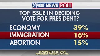 Polls show immigration among top issues for voters [upl. by Trik]