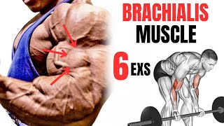 5 BEST BRACHIALIS WORKOUT AT GYM FASTER [upl. by Nekcarb649]