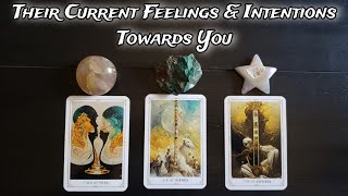 🦭💕 Their Current Feelings amp Intentions Towards You 🧁🦔 Pick A Card Love Reading [upl. by Paschasia189]