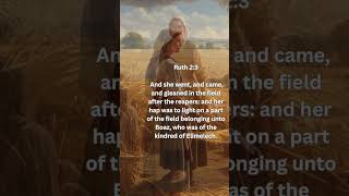 Ruth Gleans in Boazs Field Ruth 23 Bible Verse KJV [upl. by Christiane698]