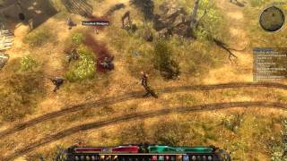 Grim Dawn Demolitionist  Soldier Lvl 20ish Talent Build Gameplay [upl. by Leterg60]