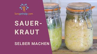 Sauerkraut Rezept  Ansatz in eigener Lake  Fermentieren für Anfänger [upl. by Herrle]