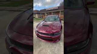 Z06 amp HEMI LOOK GOOD TOGETHER  shortvideo zo6 hemi 392scatpackcharger [upl. by Humberto815]