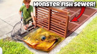 I Found MONSTER FISH In SEWER [upl. by Pain496]